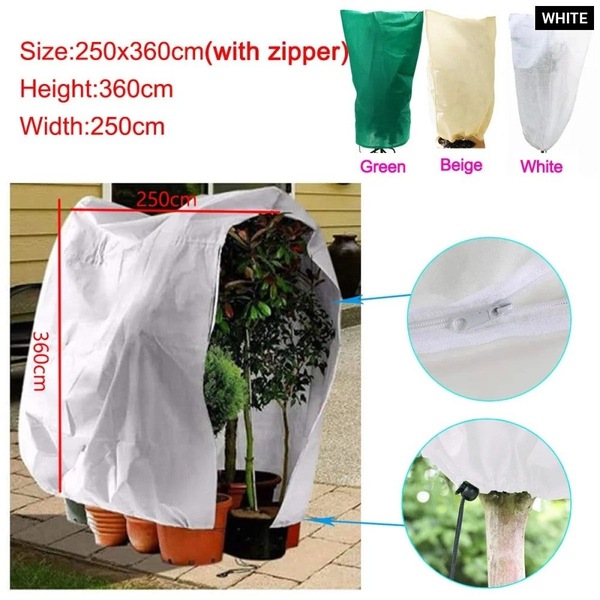 Image 22