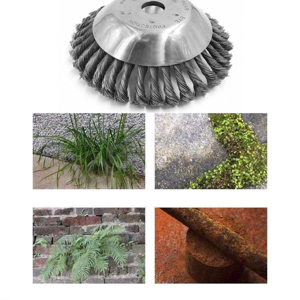 Image 8