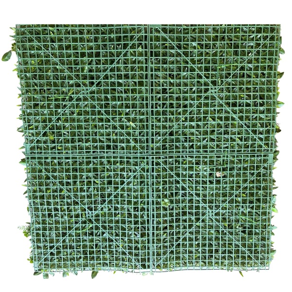 Image 4