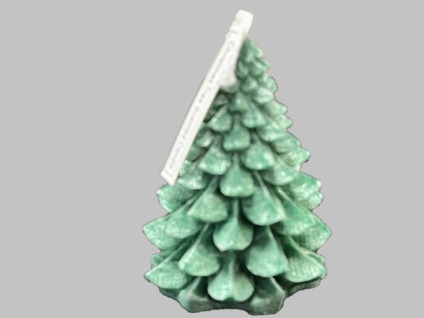 Image 4