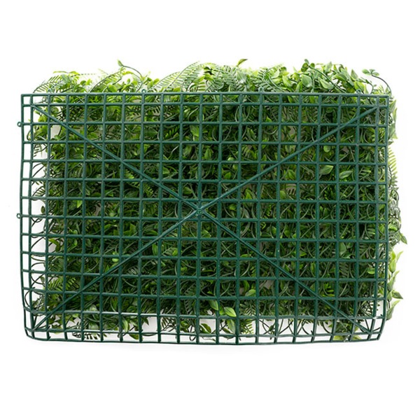 Image 4