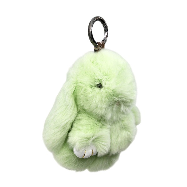 Image 19
