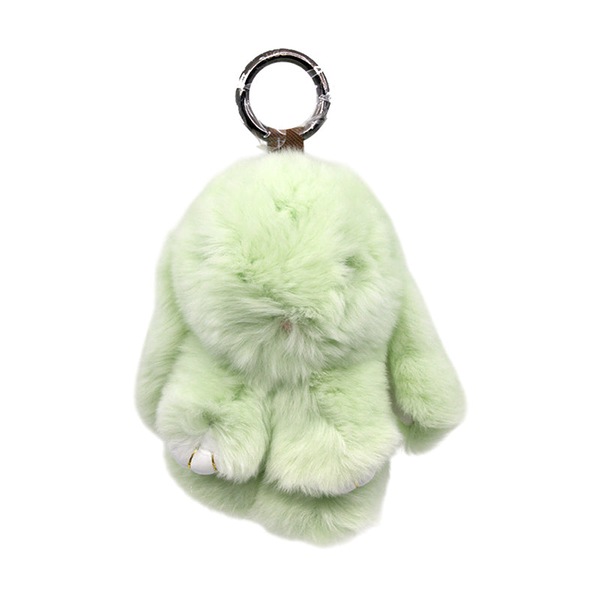 Image 20