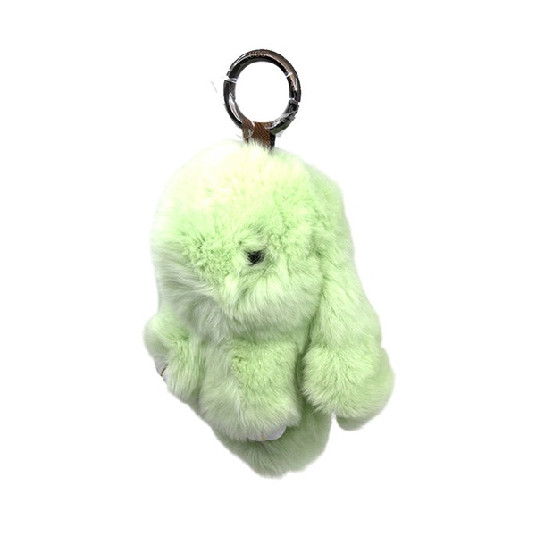 Image 21