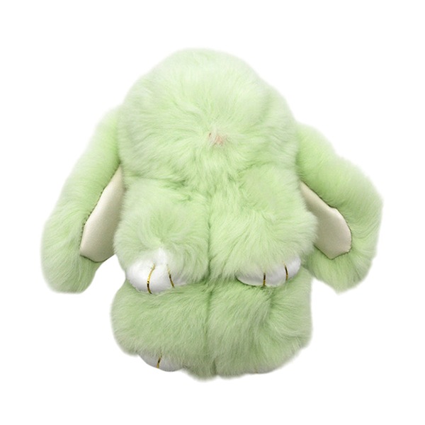 Image 22