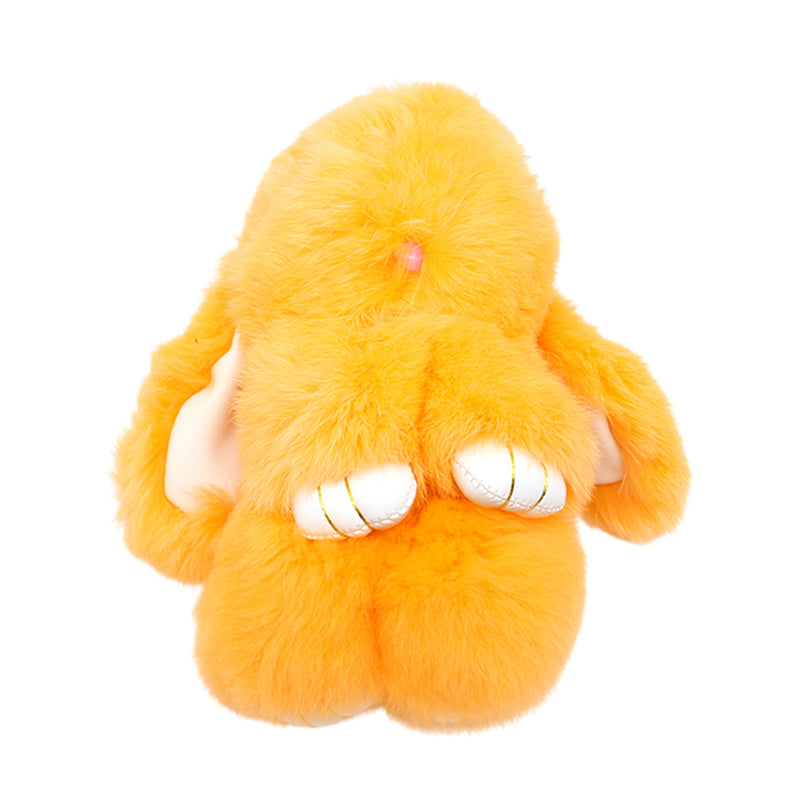 Image 26