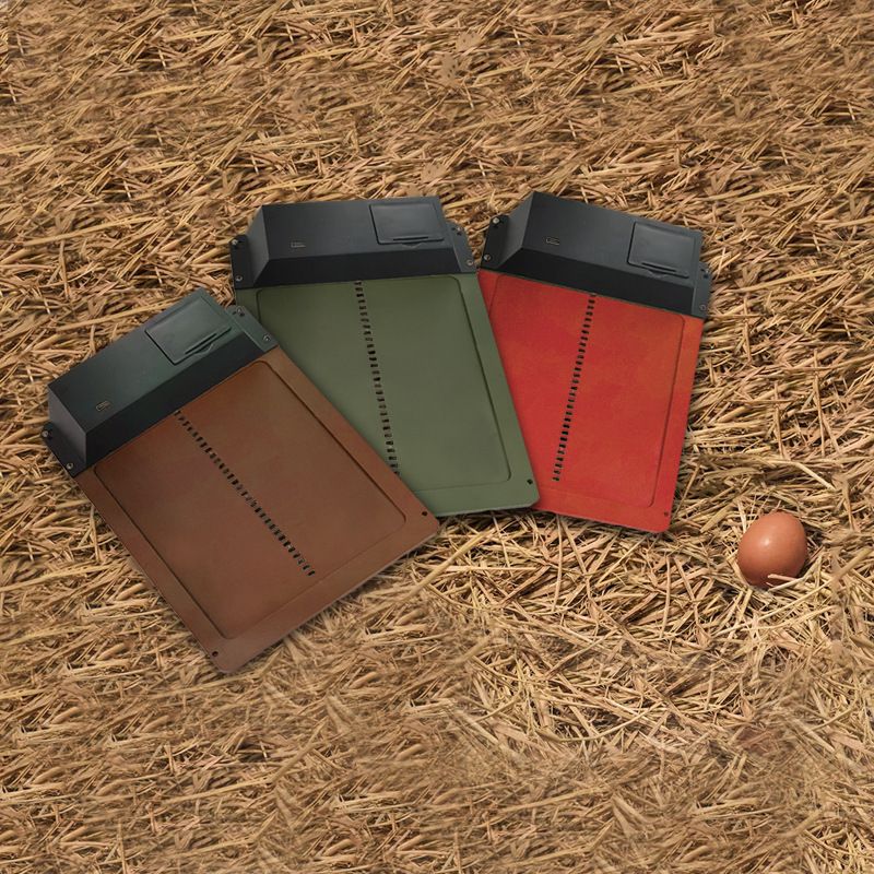 Image 5