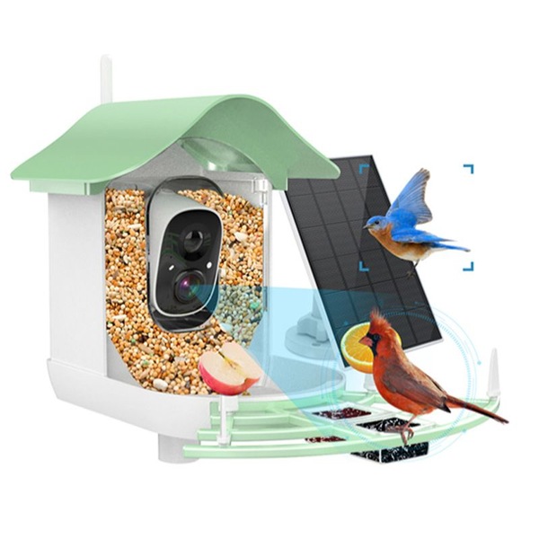 Image 4