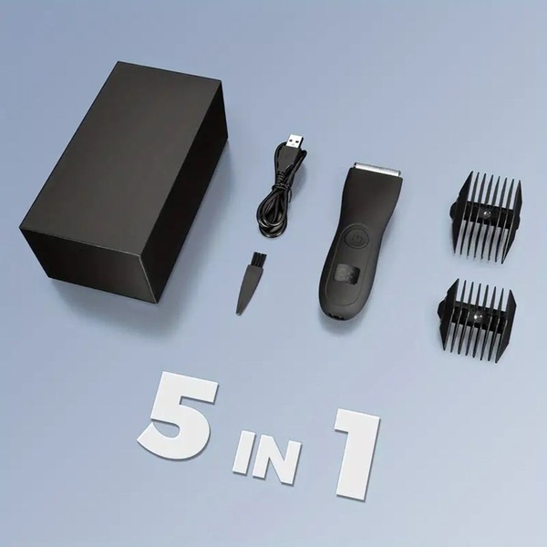 Image 4