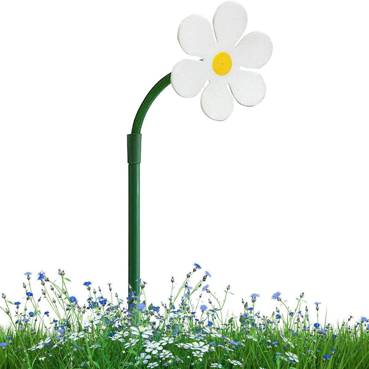 Image 7