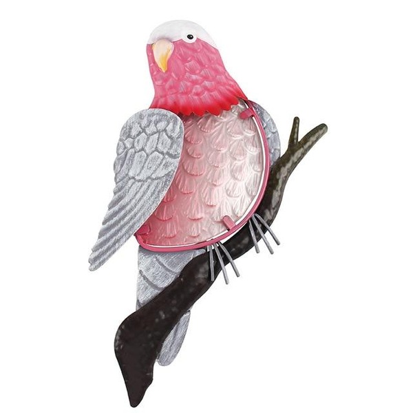 Image 2