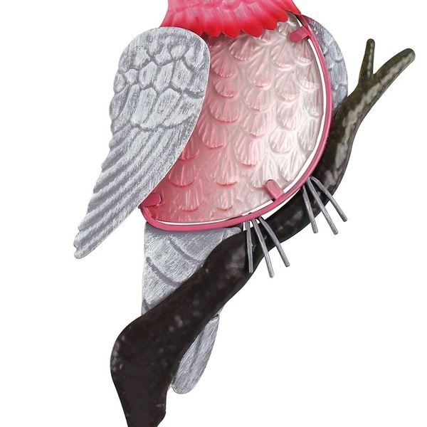 Image 7