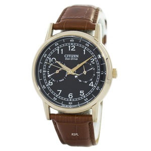 Citizen Eco-Drive Black Dial Rose Gold Tone Hands Leather AO9003-08E Mens Watch