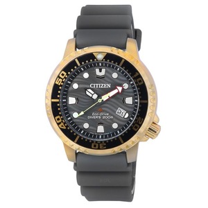 Citizen Promaster Grey Dial Analog Eco-Drive Diver BN0163-00H 200M Mens Watch