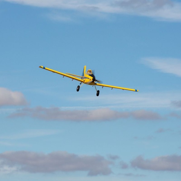Image 20
