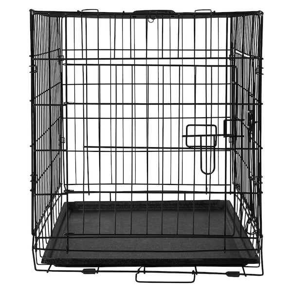 Image 7