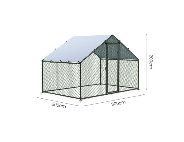 Image 11