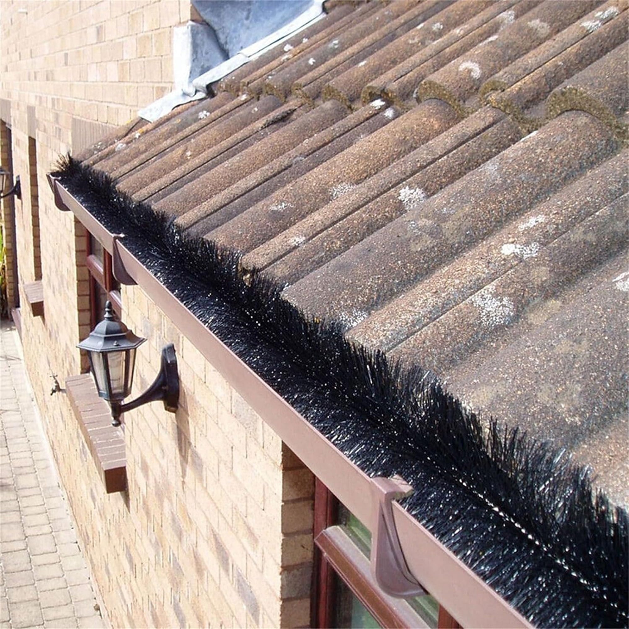 Image 9
