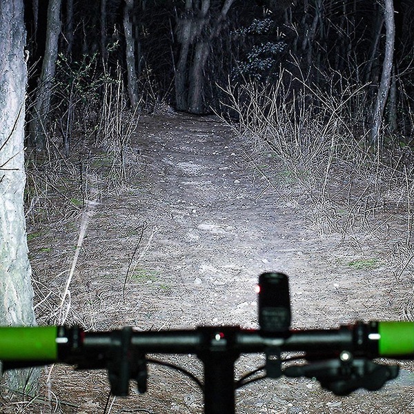 Image 7