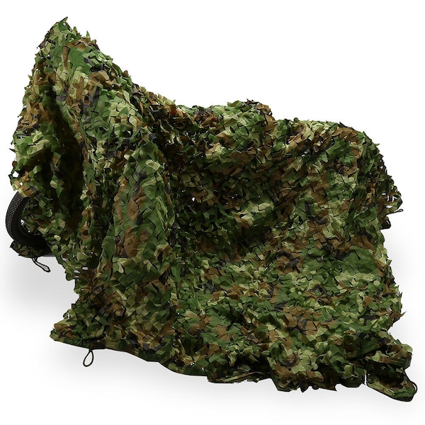 Image 6