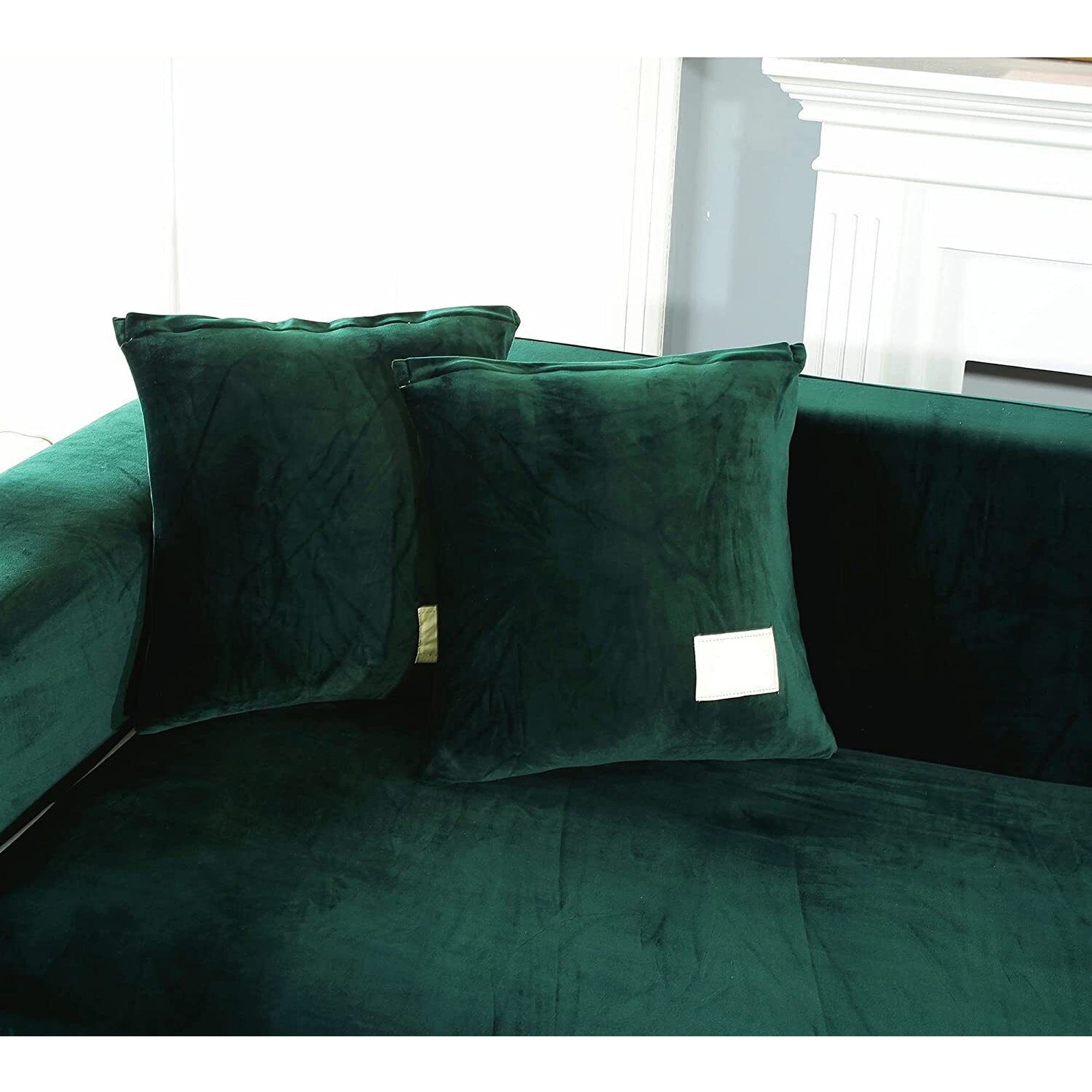 Image 6