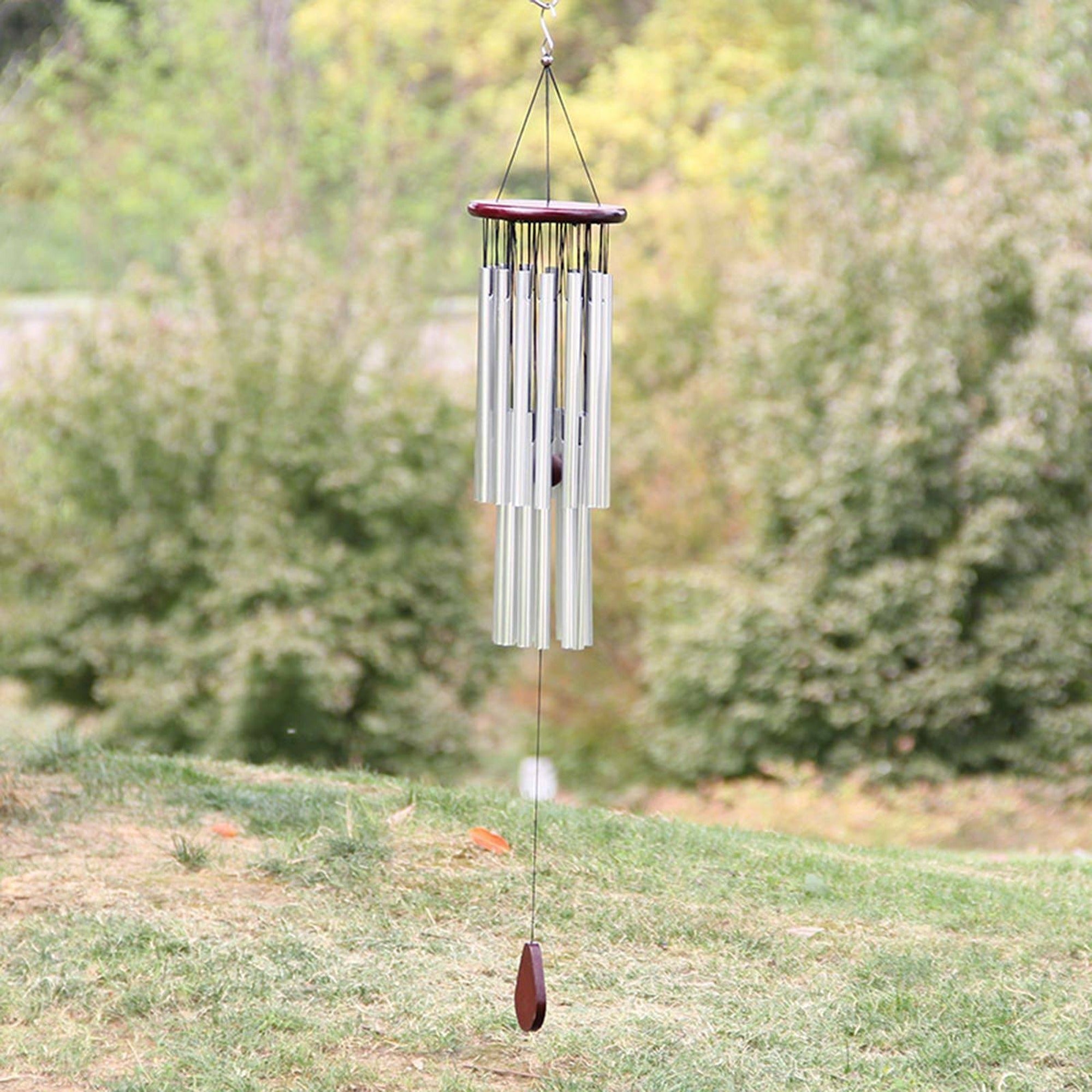 Image 12