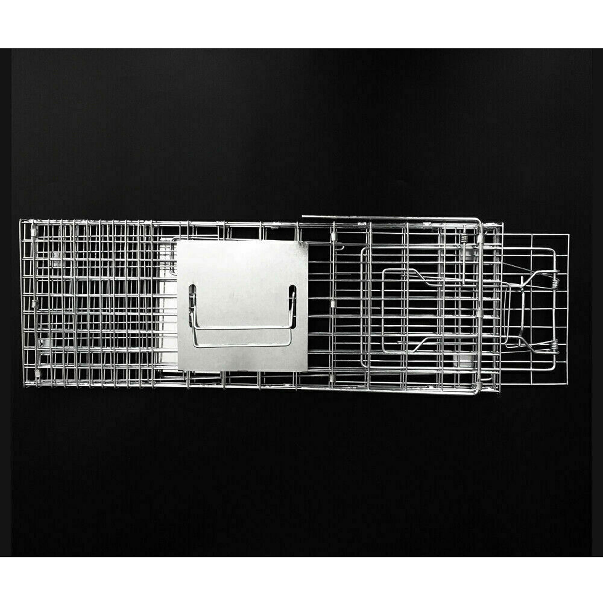 Image 7