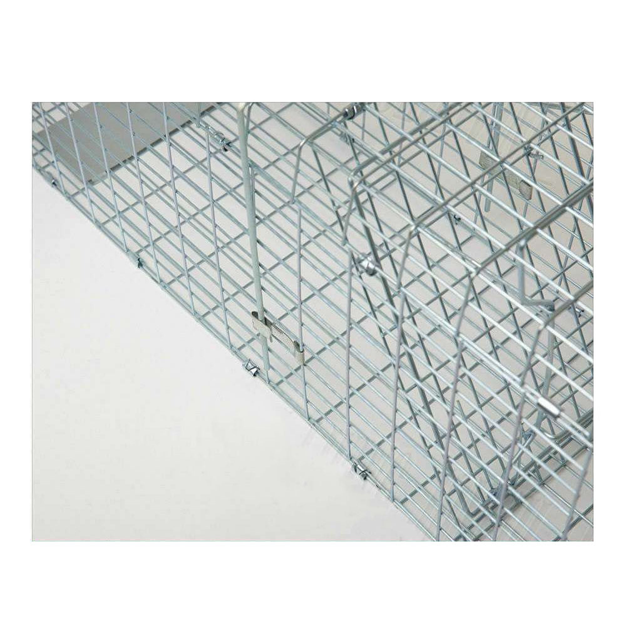 Image 10