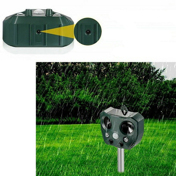 Image 8