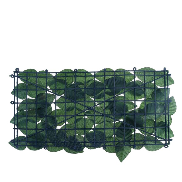 Image 11