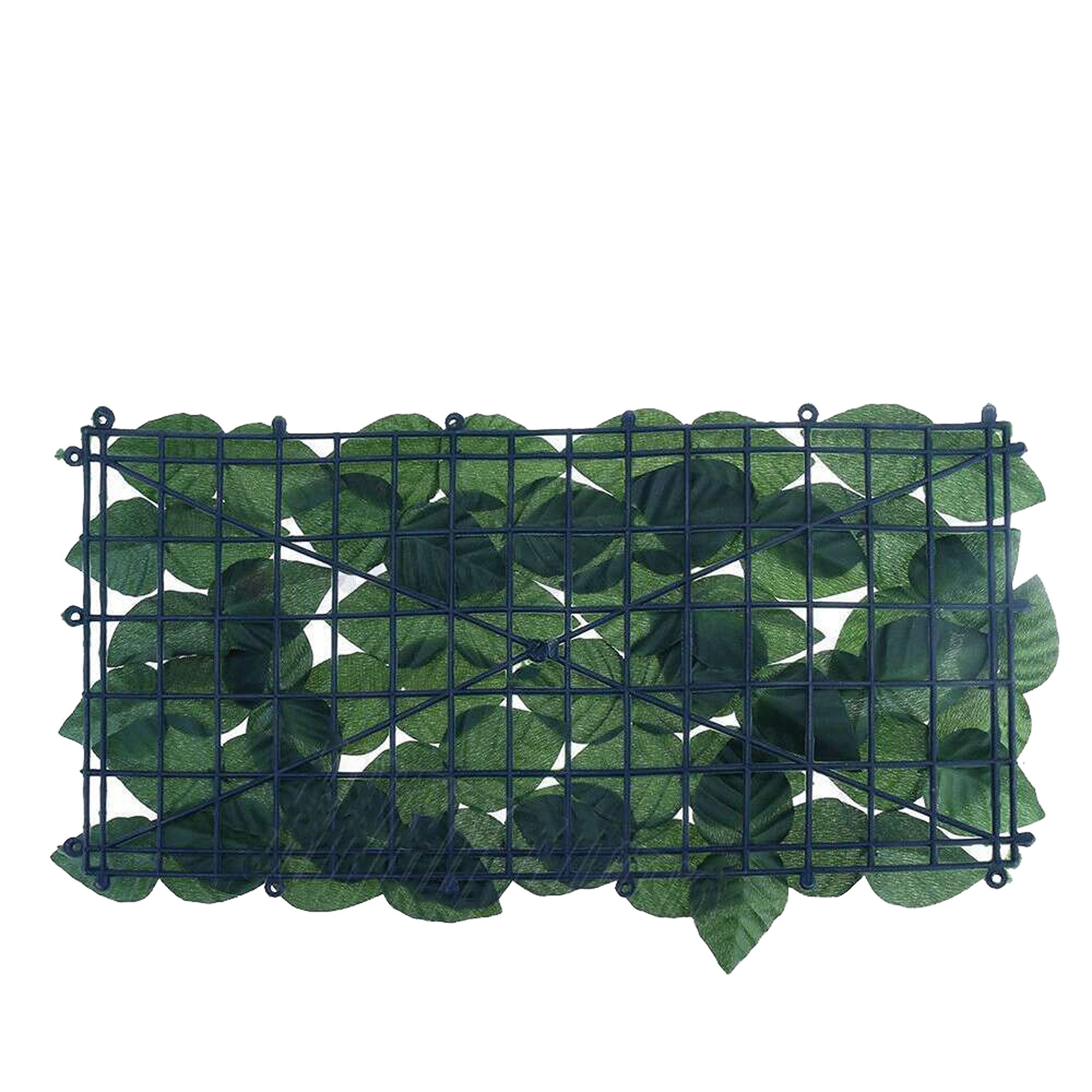Image 11