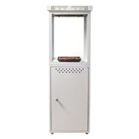 Tremblant - White Hudson Fireplace (LPG Gas)