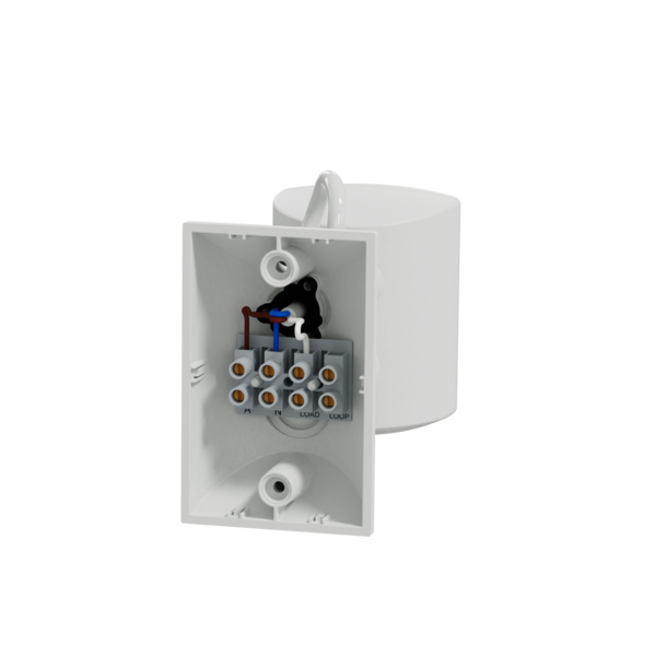 Image 11