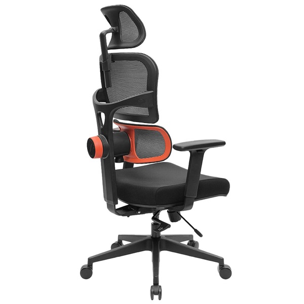 Image 4