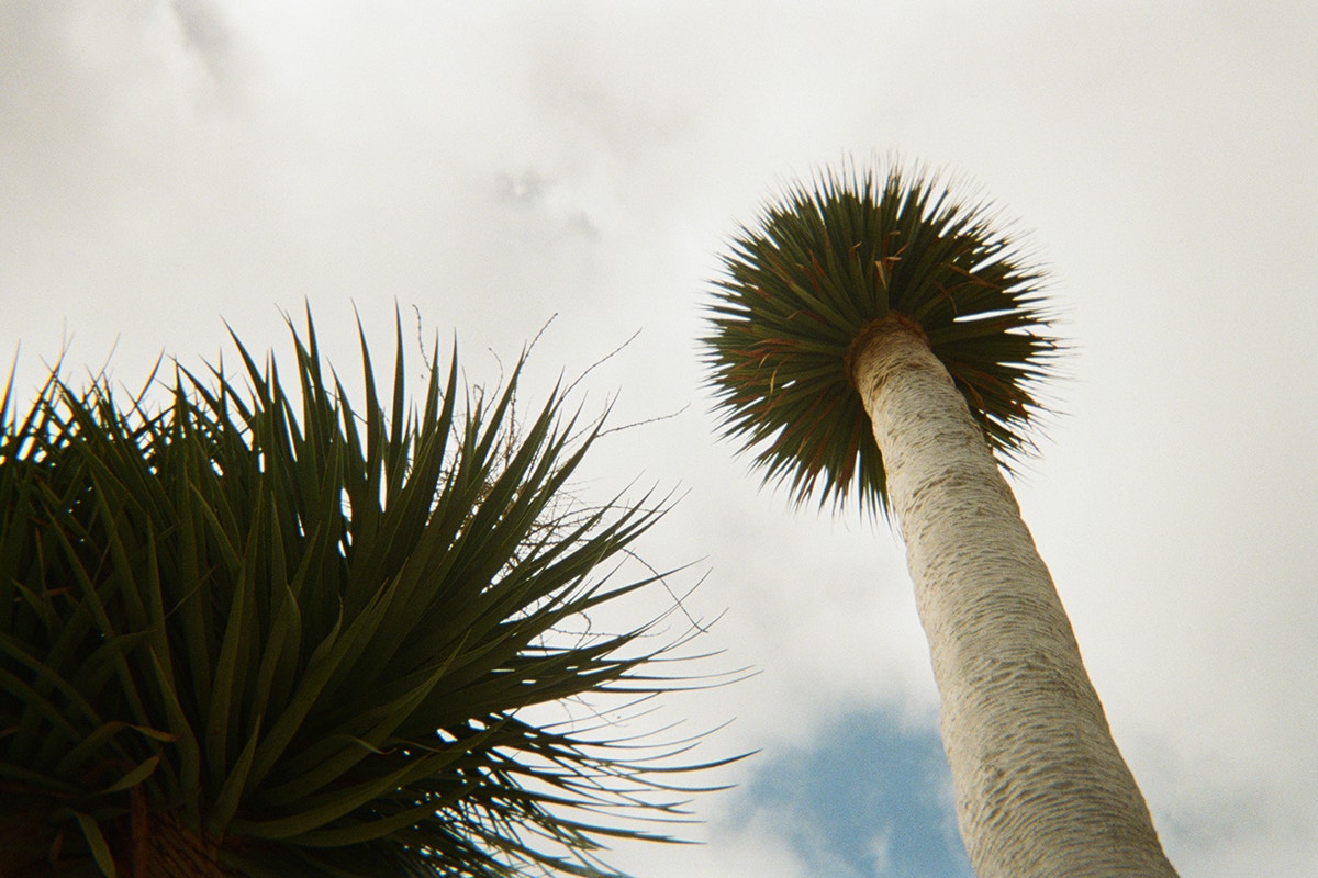 Image 15