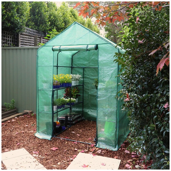 Image 2