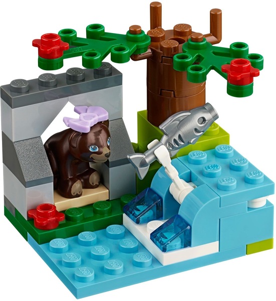 Image 5