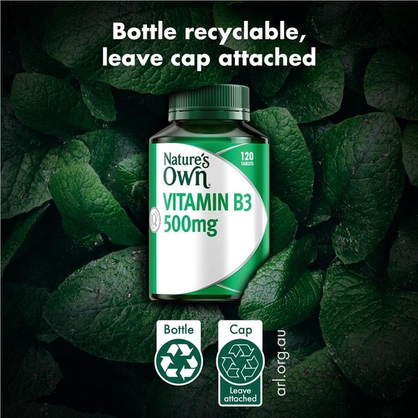 Buy Nature's Own Vitamin B3 500mg Tablets - 120 Count, Energy & Skin ...