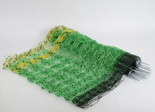 Image 7