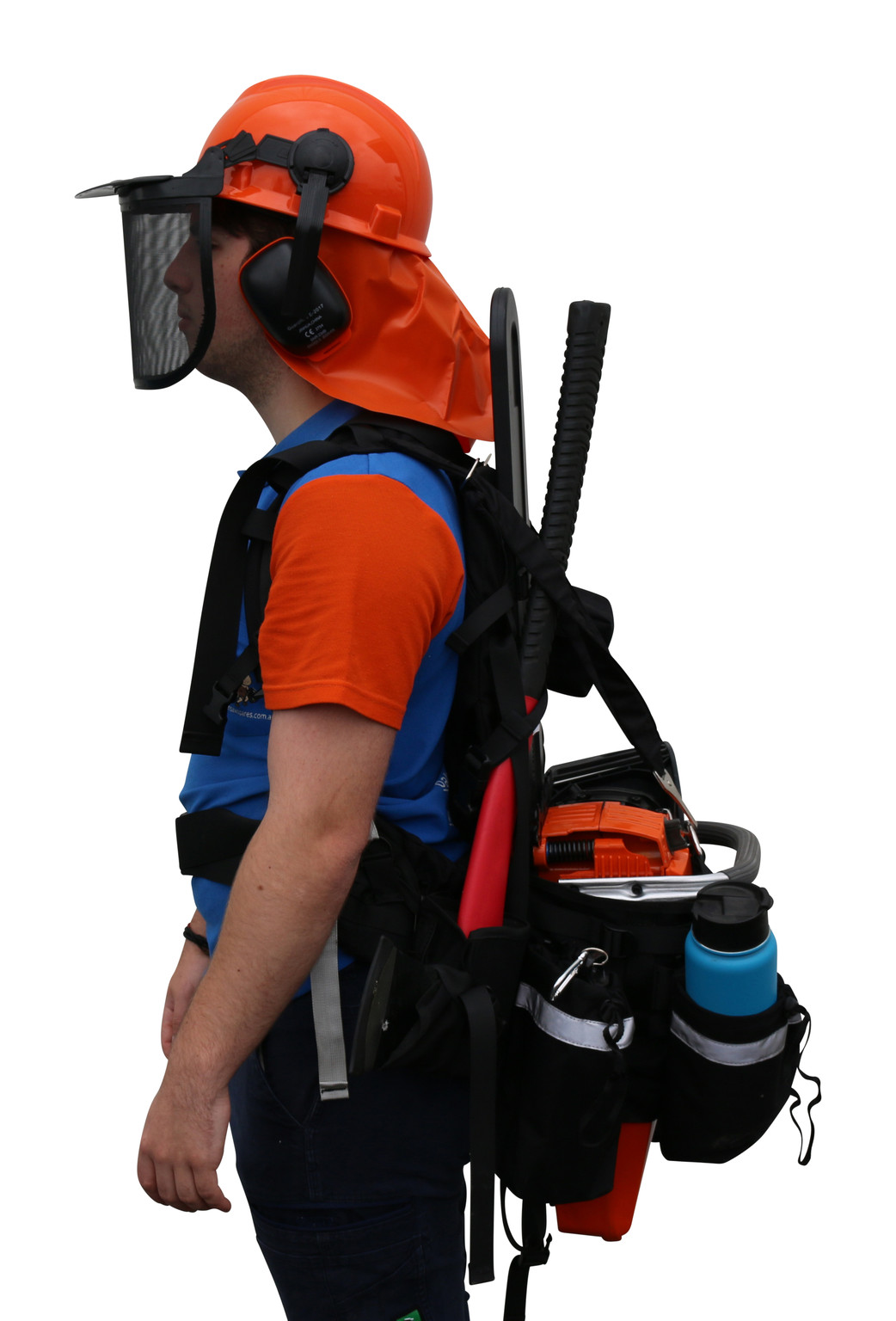 Image 4
