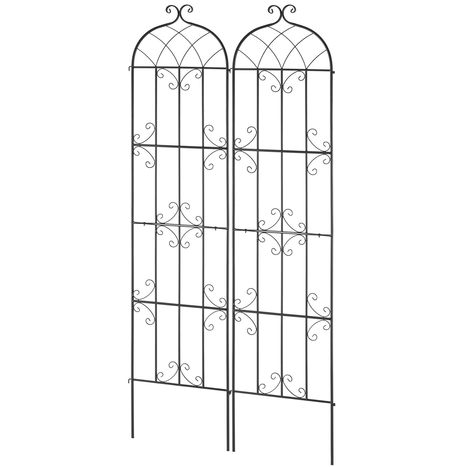 Image 8
