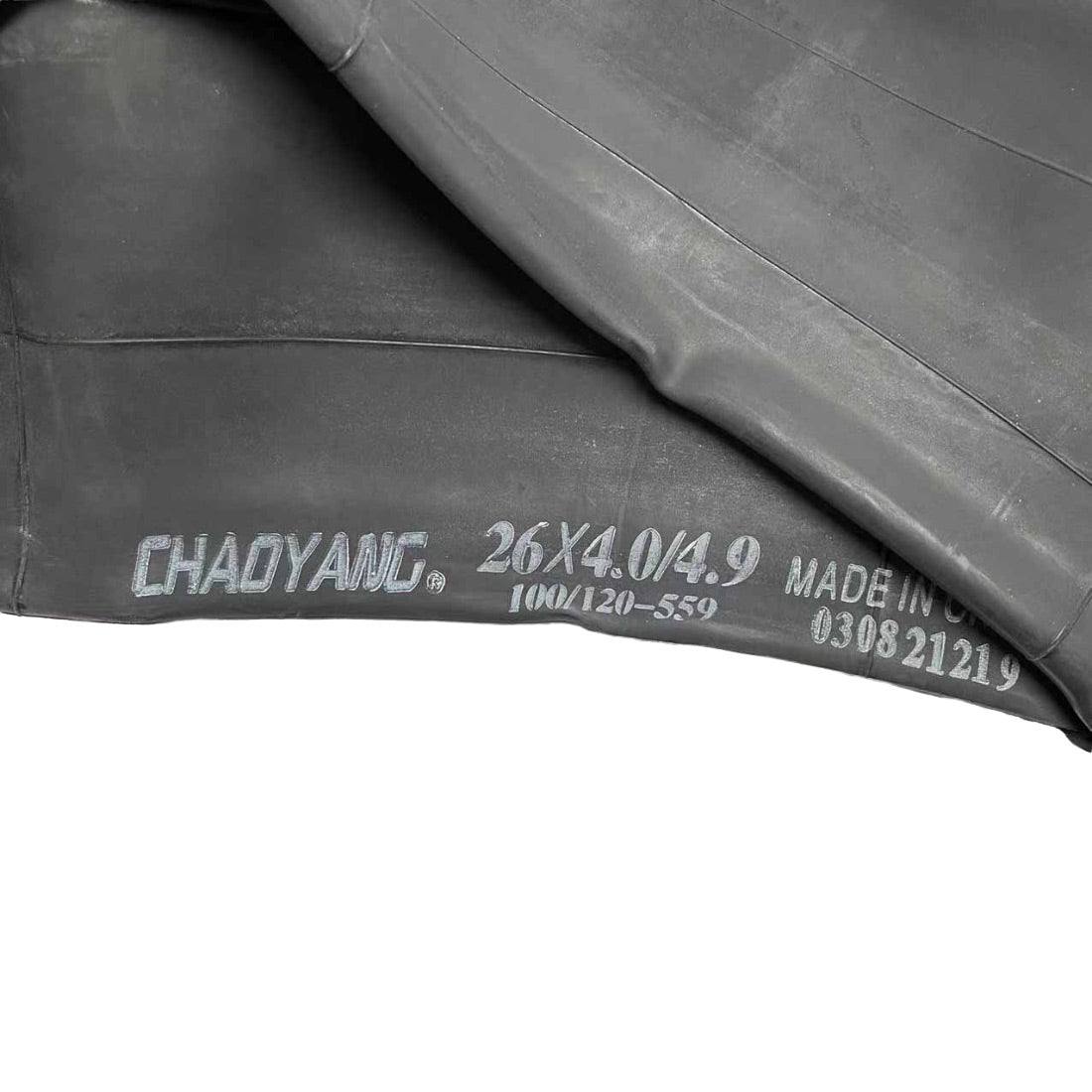 Image 4