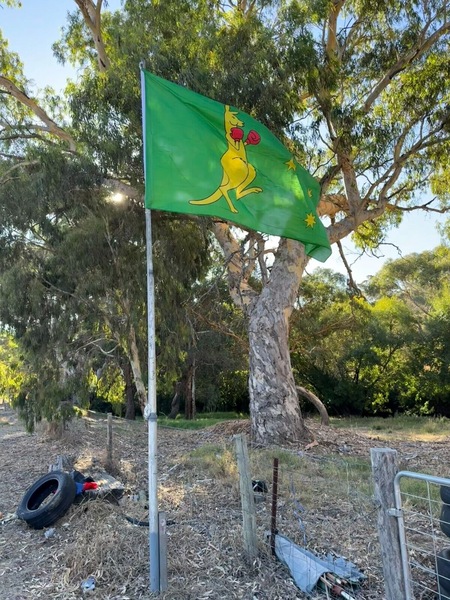 Image 5