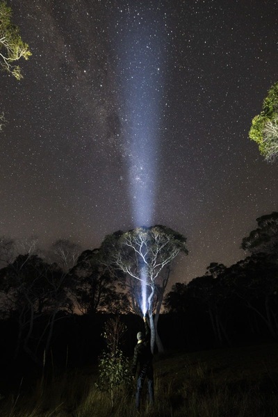 Image 10