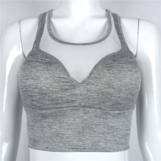 Image 7