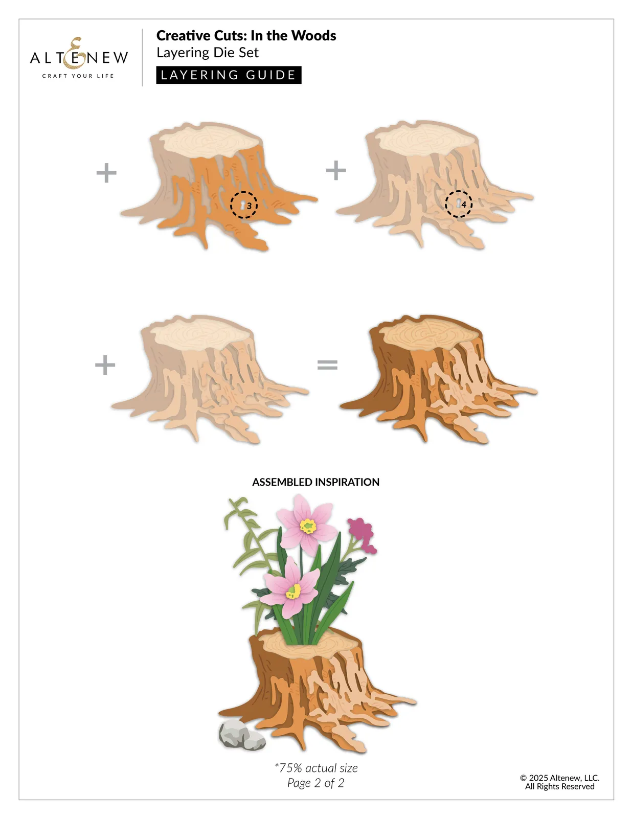 Image 11