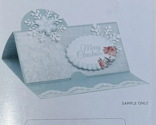 Image 4
