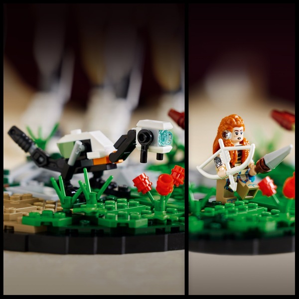 Image 22