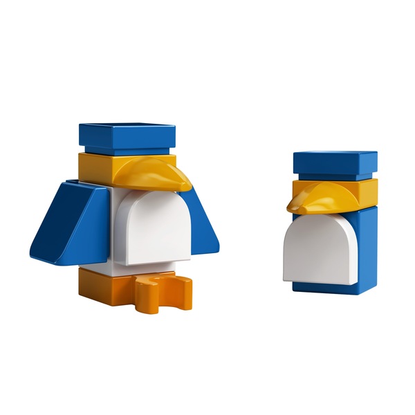Image 21