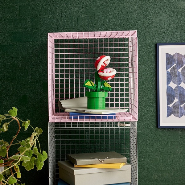 Image 5